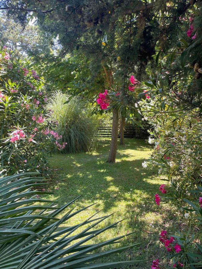 Gites Au Chateau Des Estubiers Les Granges-Gontardes Exterior photo